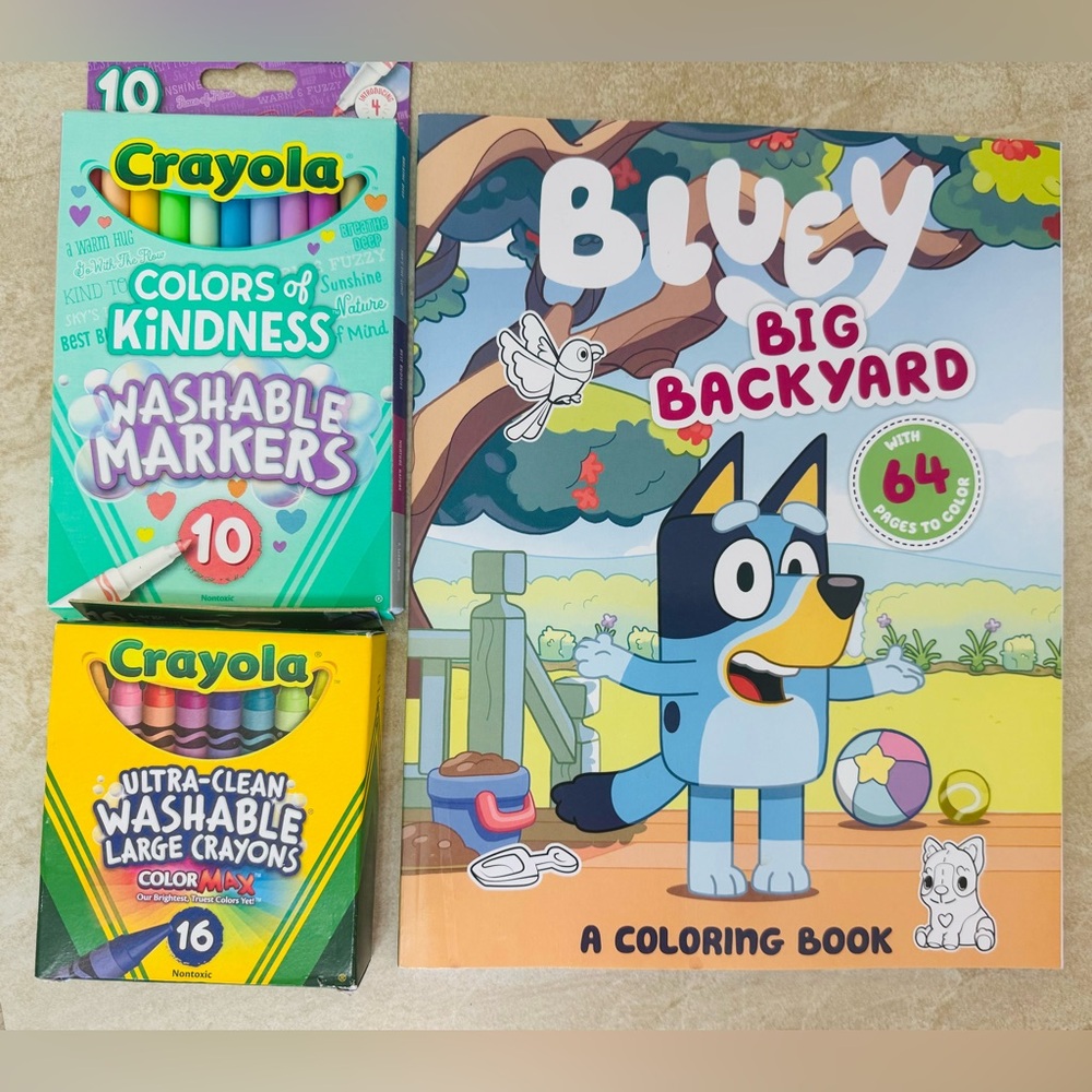 Bluey Plush, Where's Bluey Activity Book, Magnetic Play Set, Crayons, - Picture 6 of 14